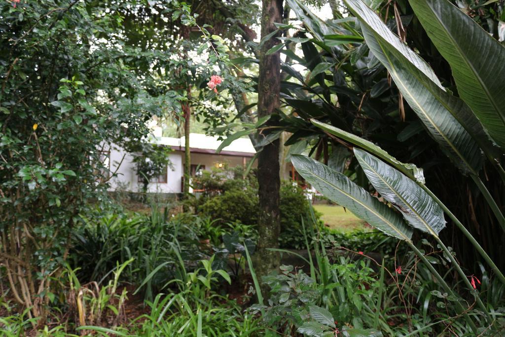 Softwaters Guesthouse Cottages หลุยส์ทริคาร์ดท์ ภายนอก รูปภาพ